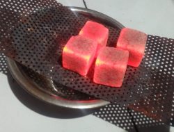 Pelajar Madrasah di Jombang, Raih Emas Olimpiade Internasional