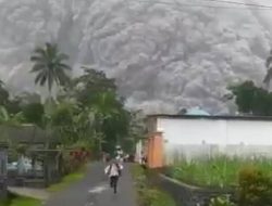 Gunung Semeru Erupsi, Puluhan Warga Mengungsi