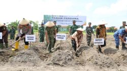 Jombang Perkuat Swasembada Gula Nasional, TNI–Pemda–SGN Tanam Tebu Perdana di Lahan Kodim