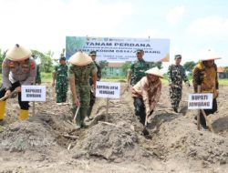Jombang Perkuat Swasembada Gula Nasional, TNI–Pemda–SGN Tanam Tebu Perdana di Lahan Kodim